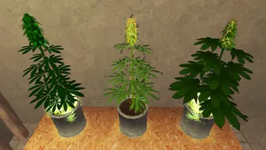 Weed Shop 2 preview 3