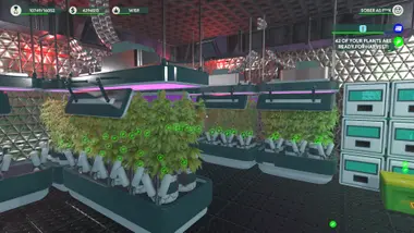 Weed Shop 3 preview 12