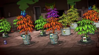 Weedcraft Inc preview 5