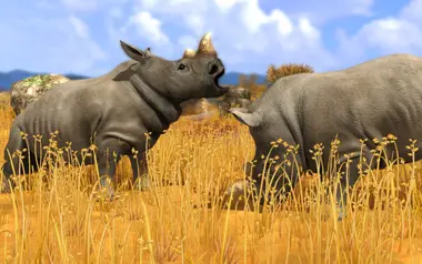 Wildlife Park 3 preview 6