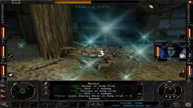 Wizardry 8 preview 2