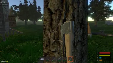 Woodlands preview 5