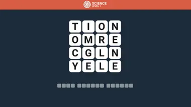 Wordle preview 3