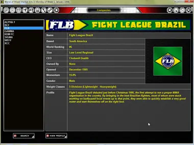 World of Mixed Martial Arts 3 preview 11