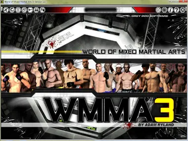 World of Mixed Martial Arts 3 preview 4