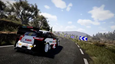 WRC 10 FIA World Rally Championship | Deluxe Edition preview 7
