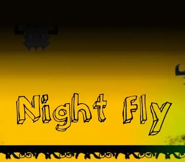 Night Fly