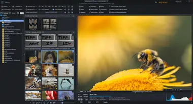 Ashampoo Photo Commander 18 (1 Device, Lifetime) preview 4