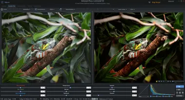 Ashampoo Photo Commander 18 (1 Device, Lifetime) preview 5