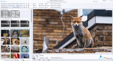 Ashampoo Photo Commander 18 (1 Device, Lifetime) preview 6