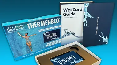 WellCard Gift Card 15 EUR - Wellcard Key preview 2