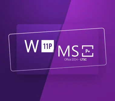Microsoft Windows 11 Pro & Microsoft Office 2024 LTSC Pro Plus Bundle
