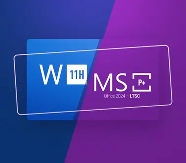 Microsoft Windows 11 Home & Microsoft Office 2024 LTSC Pro Plus Bundle