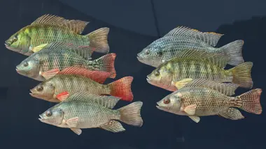 Ultimate Fishing Simulator - Kariba Dam DLC preview 4