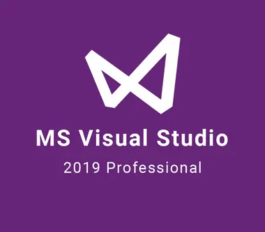 Microsoft Visual Studio 2019 Professional
