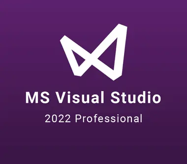 Microsoft Visual Studio 2022 Professional