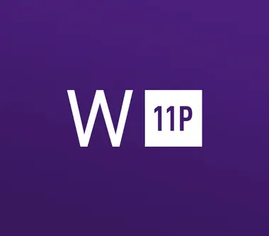 Microsoft Windows 11 Pro OEM (PC) - Microsoft Key - GLOBAL