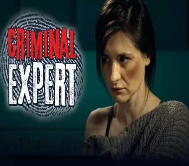 Criminal Expert - Steam (Global) Key