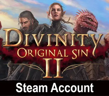 Divinity: Original Sin 2 (Steam Account) - Steam (Global)