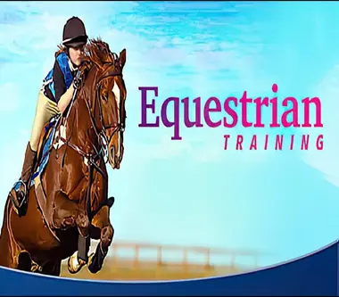 Equestrian Training - Steam (Global) Key