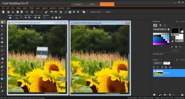 Corel PaintShop Pro X9 - Corel Key preview 4