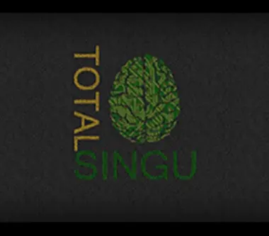 Total Singu - Steam (Global)