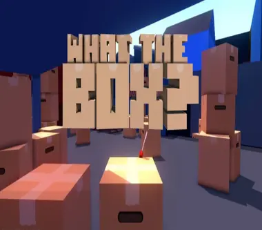 What The Box? - Steam (Global) Key