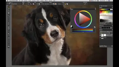 Corel Painter 2020 (1 Device, Lifetime) - Corel Key preview 3