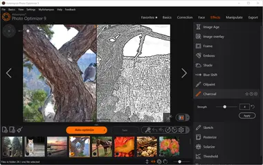 Ashampoo Photo Optimizer 9 (1 PC, Lifetime) preview 4