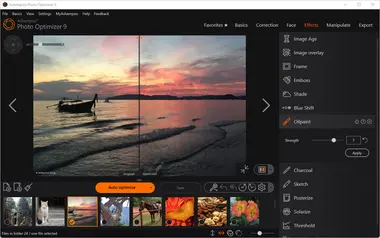 Ashampoo Photo Optimizer 9 (1 PC, Lifetime) preview 6