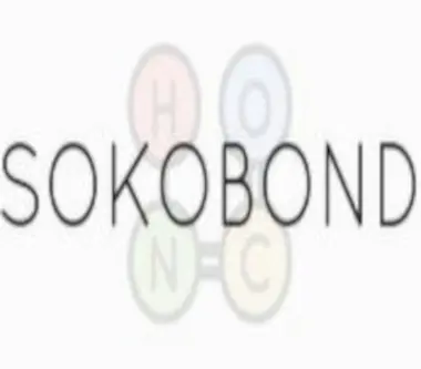 Sokobond - Steam (Global) Key