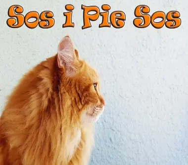 Sos i Pie Sos