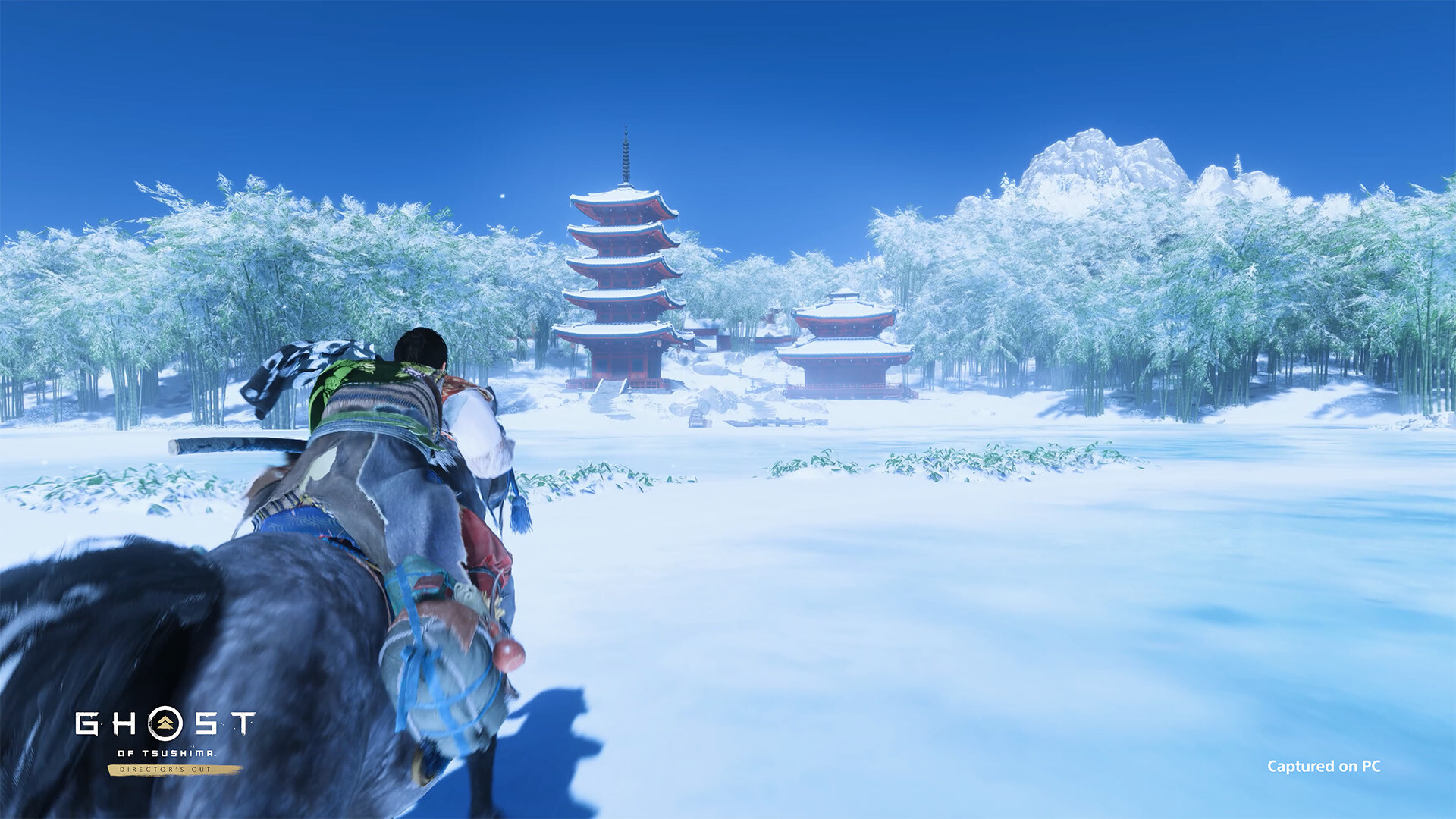 Ghost of Tsushima Director's Cut PC Steam CD Key
