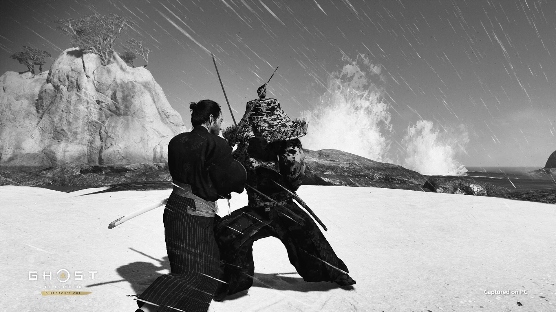 Ghost of Tsushima Director's Cut PC Steam CD Key