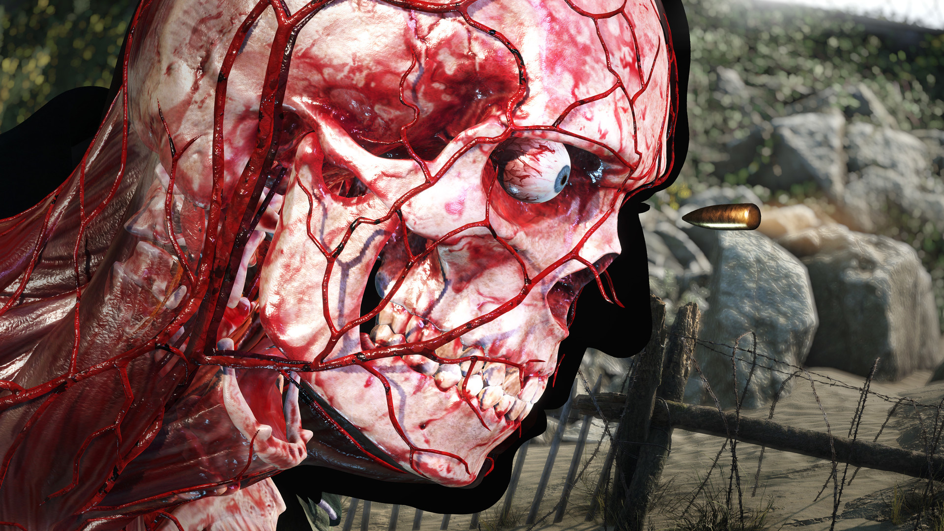 Sniper Elite 5 PC Steam CD Key