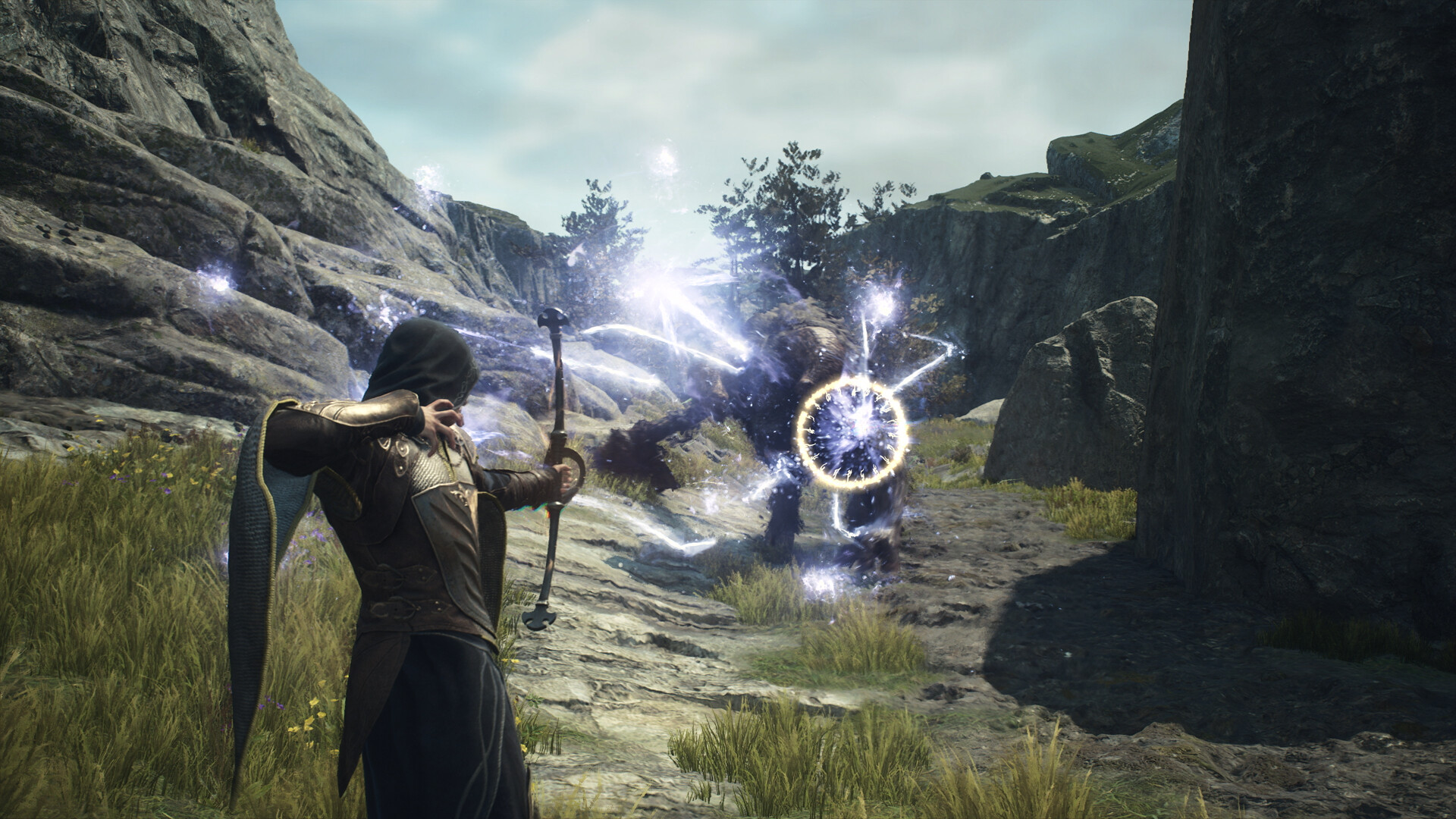 Dragon's Dogma 2 RoW PC Steam CD Key