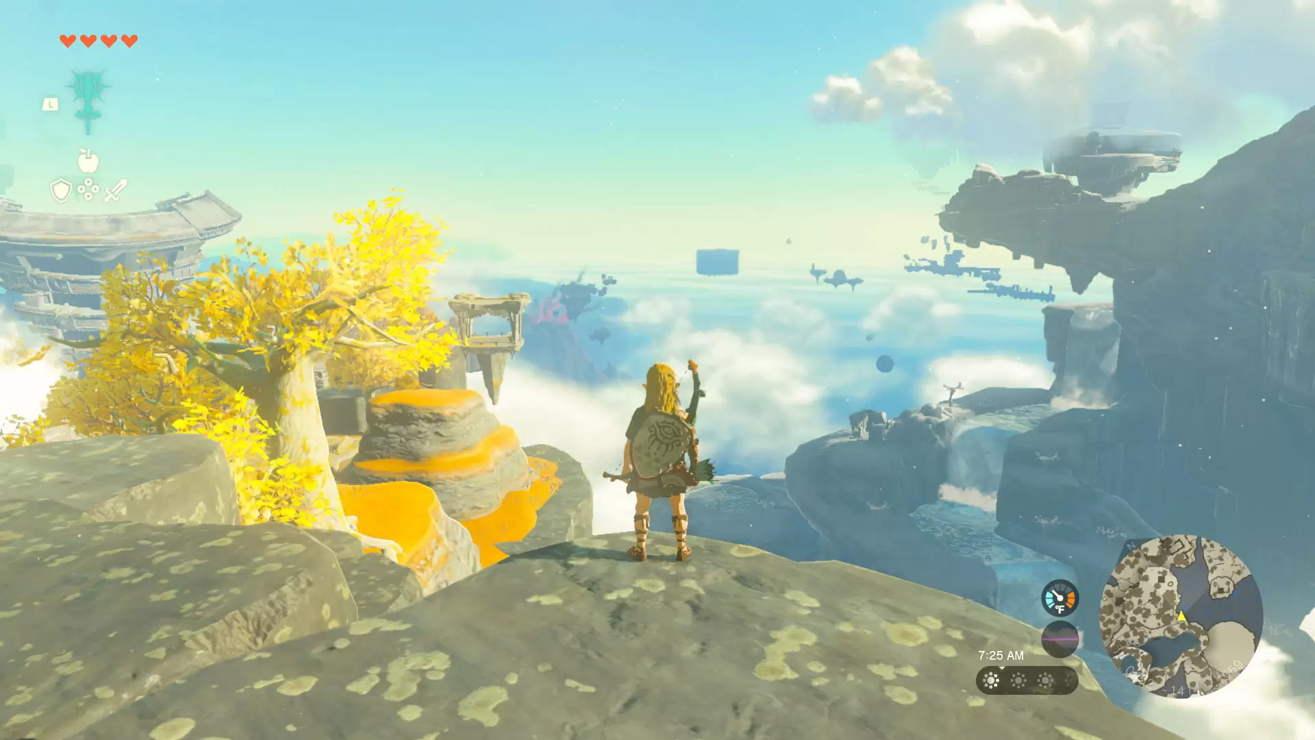 The Legend of Zelda: Tears of the Kingdom Nintendo Switch Access
