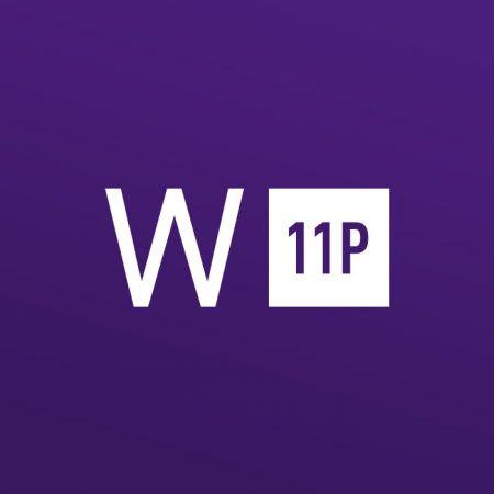 Windows 11 Professional Retail Key