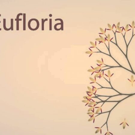 Eufloria HD Steam CD Key