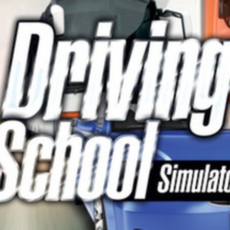 Driving School Simulator Steam CD Key