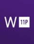 Windows 11 Professional Retail Key