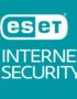 ESET Internet Security 2024 Key (1 Year / 1 PC) CD Key
