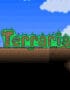 Terraria PC Steam Gift